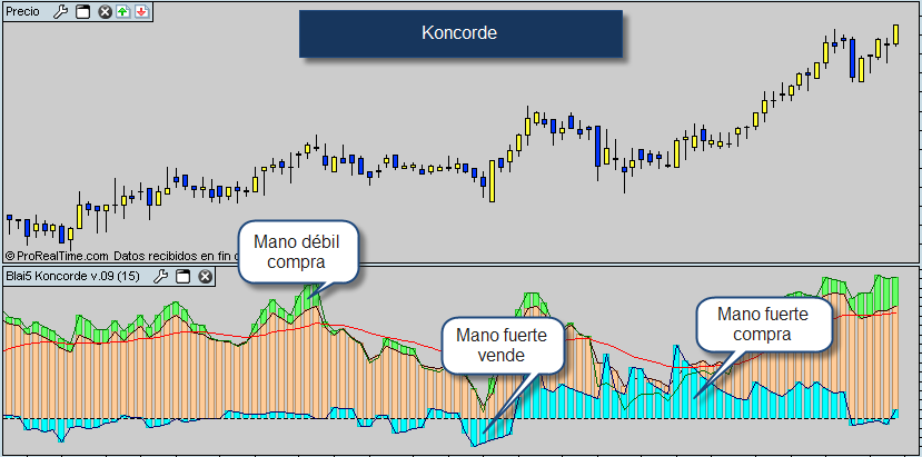 Orang yang sukses di forex indonesia