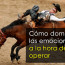 Cómo domar las emociones a la hora de operar Cómo domar las emociones a la hora de operar