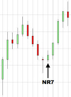 NR7 GRAFICO