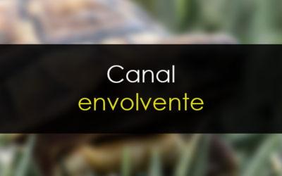 Cómo utilizar el canal envolvente para elegir los mejores valores