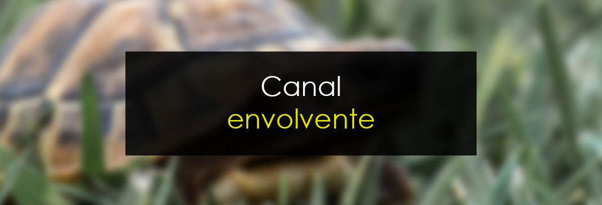 Canal envolvente