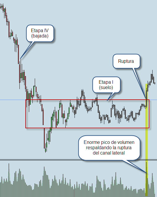 Bolsa compra ideal