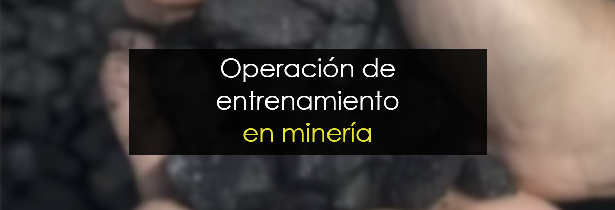 Bolsa carbón De compras miniatura