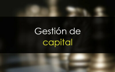 Gestión de capital