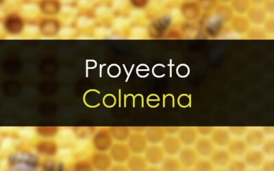 Proyecto Colmena