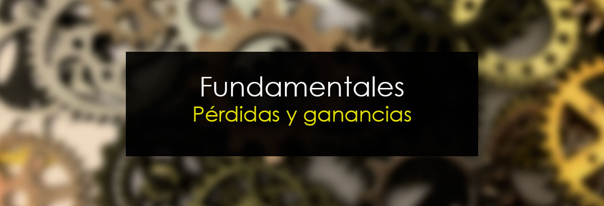 Fundamentales Pérdidas y Ganancias