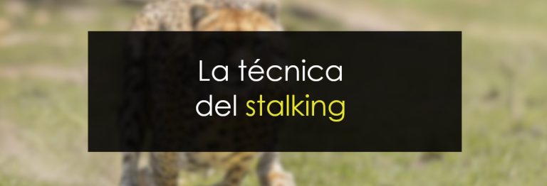 La técnica del stalking