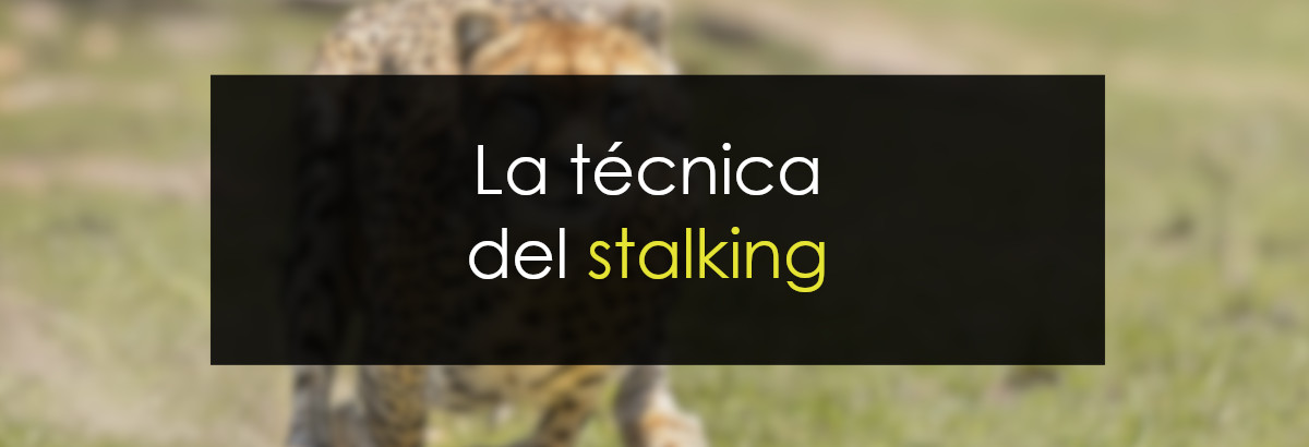 La técnica del stalking (acecho) miniatura