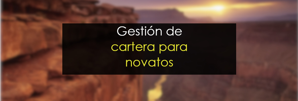Gestión de cartera para novatos: Cómo invertir tu dinero miniatura