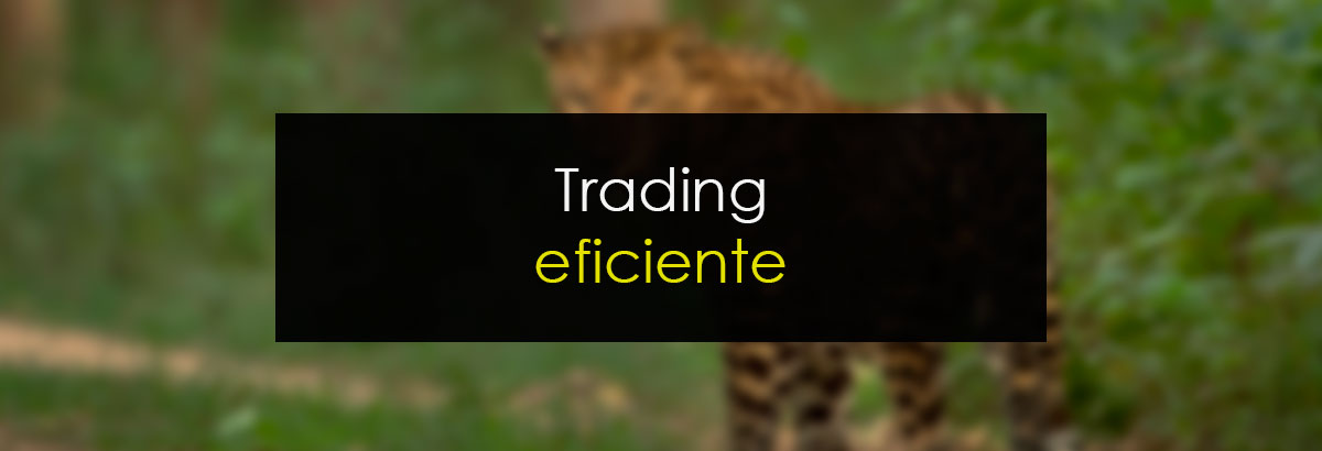 Trading eficiente