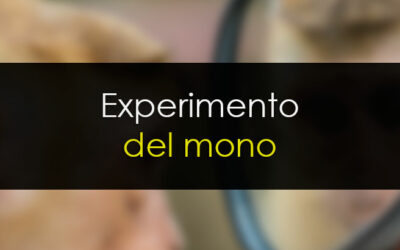 Hagamos el experimento del mono, los dardos y el Wall Street Journal