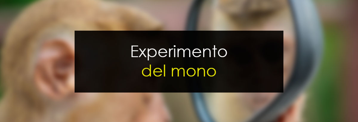 Experimento del Mono