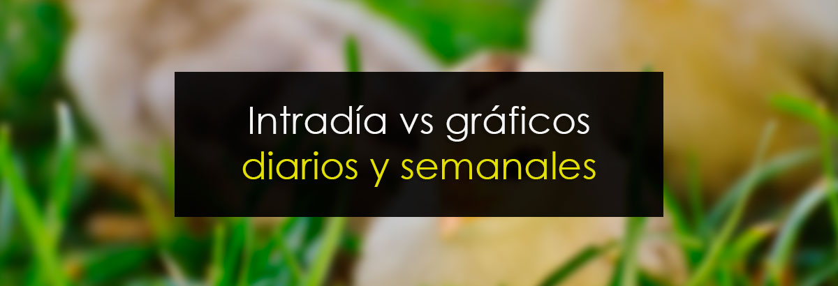 Intradía vs gráficos diarios y semanales