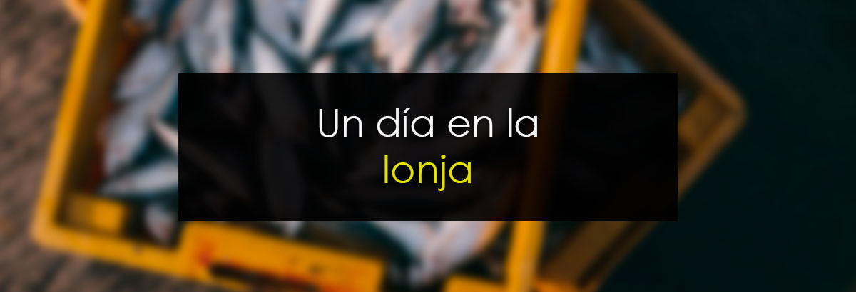 Un día en la lonja