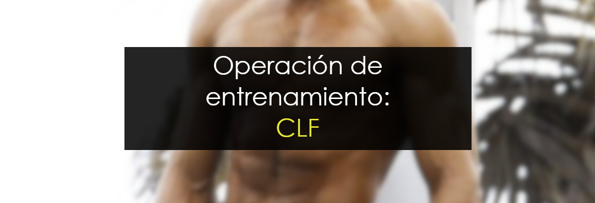 CLF miniatura
