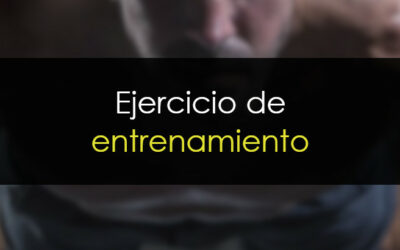 Ejercicio de entrenamiento