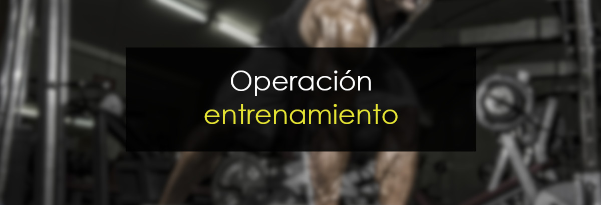 Operación entrenamiento miniatura