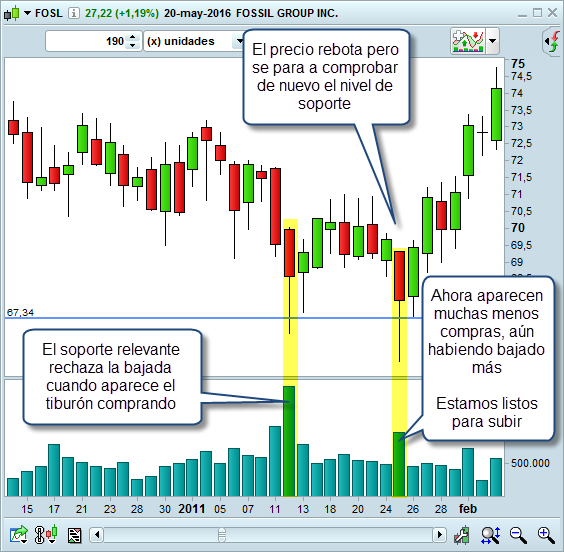 doble suelo trading