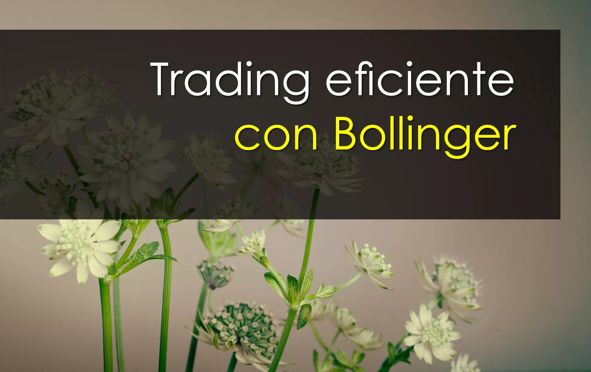 Trading con Bollinger eficiente