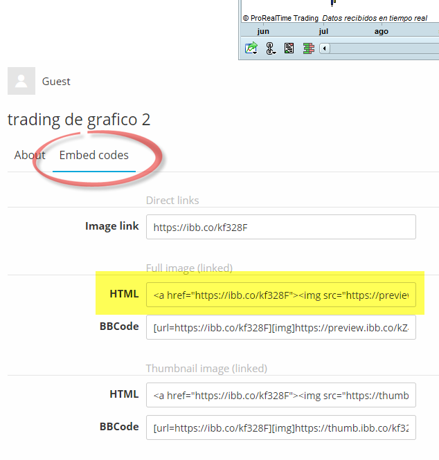 ibb trading