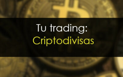 Tu trading – Criptodivisas