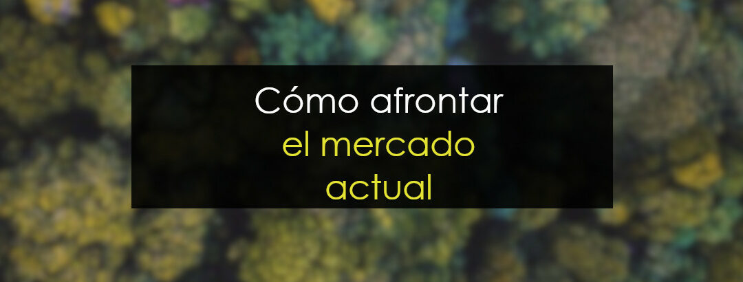 ¿Qué trading realizar en el mercado actual?