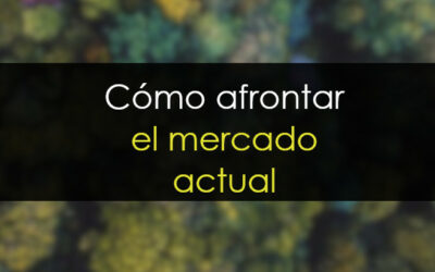 ¿Qué trading realizar en el mercado actual?