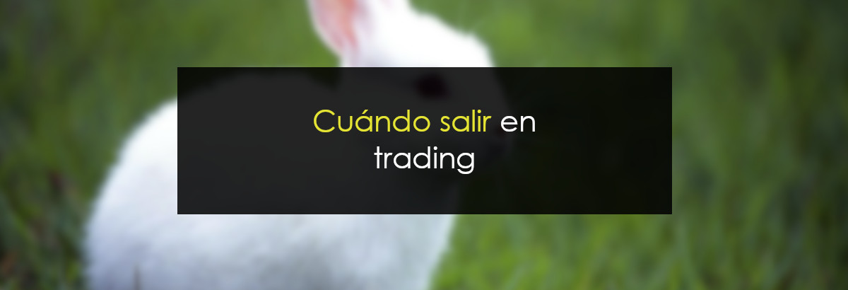 Cuándo salir en una operación de trading miniatura