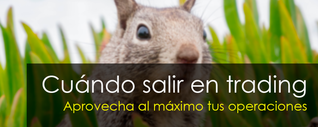 Cuándo salir en una operación de trading