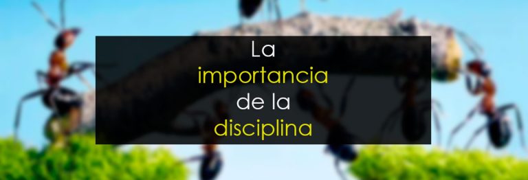 La importancia de la disciplina
