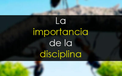 La importancia de la disciplina