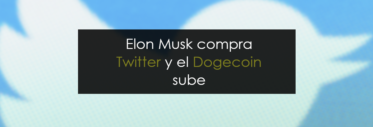 Elon Musk y Twitter