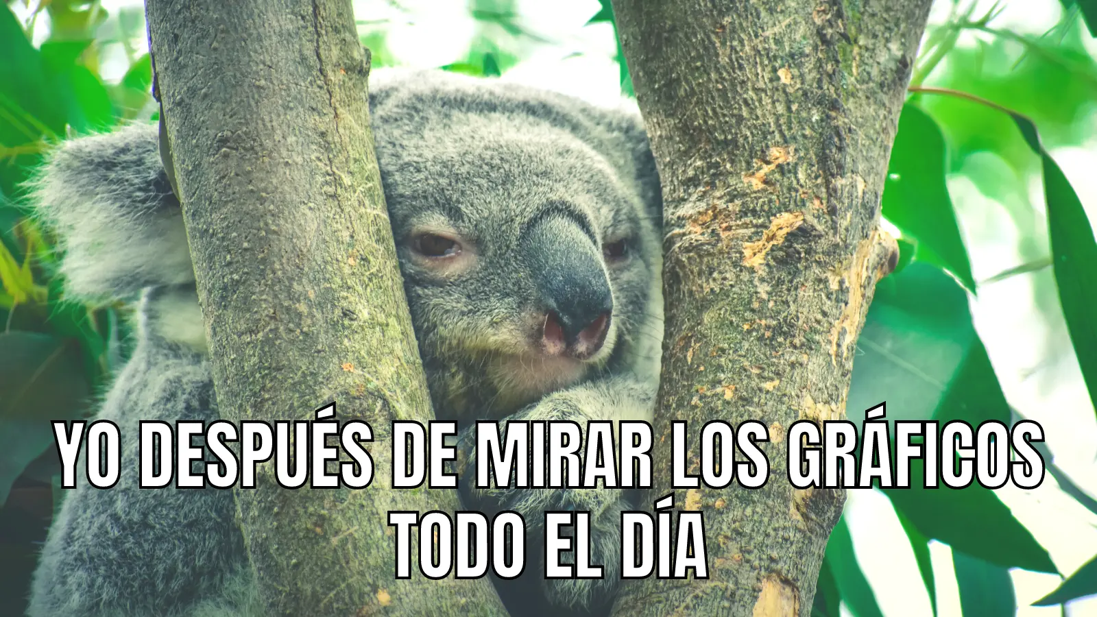 meme herramientas criptomonedas