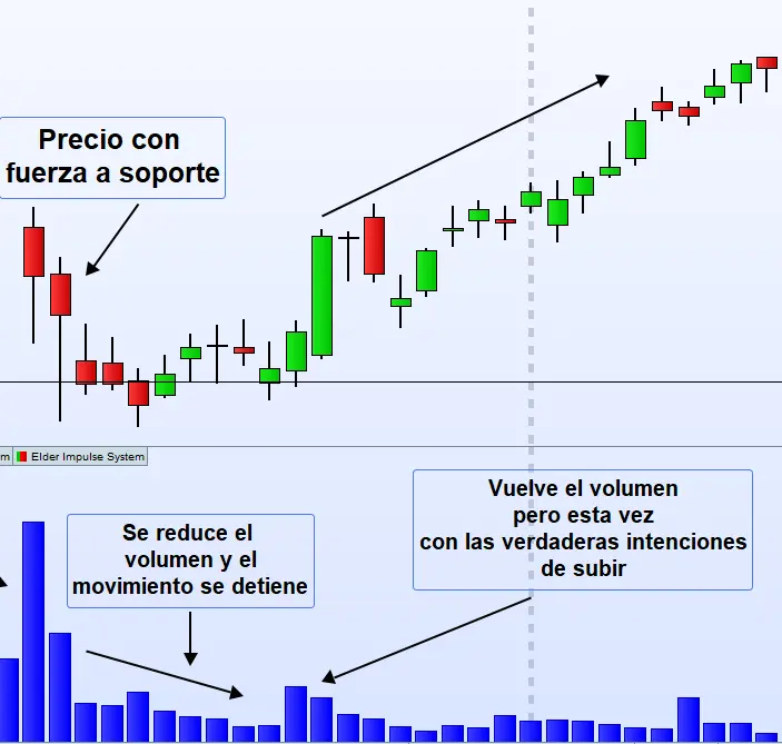 Volumen 10 nueva finta
