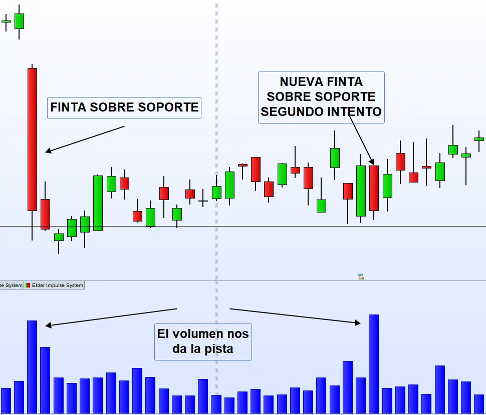 Volumen 11 finta doble soporte