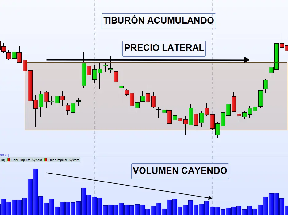 vOLUMEN 6 tiburón acumulando