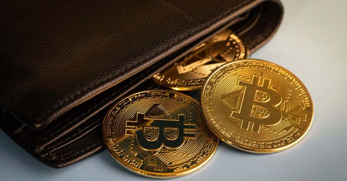 wallet de criptomonedas