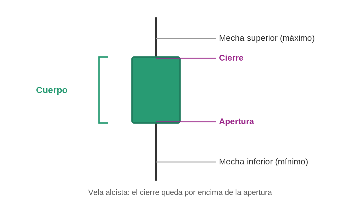 anatomia velas japonesas