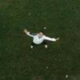 Felipe