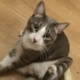 Matias
